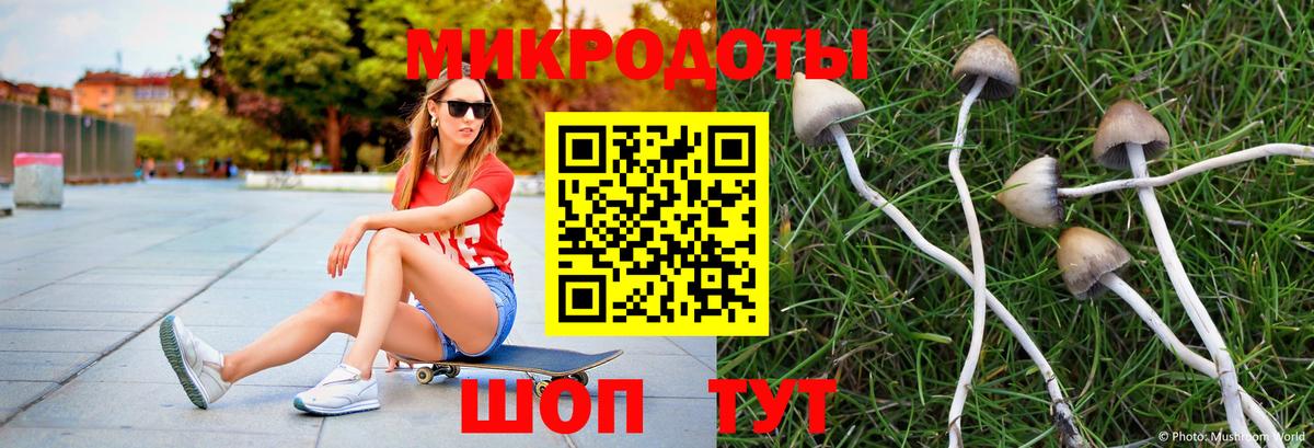Галлюциногенные грибы Psilocybine cubensis Братск